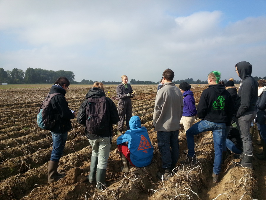 Бельгийские специалисты помогут повысить урожайность картофеля в РК