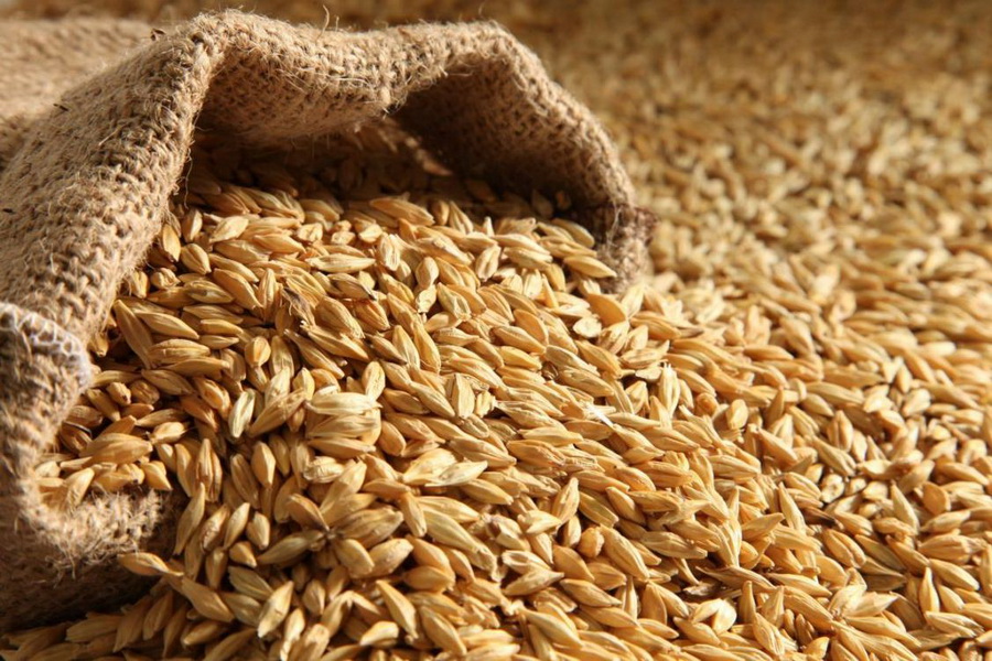 Запас зерновых и бобовых в Казахстане составляет  4 505 095  тонн