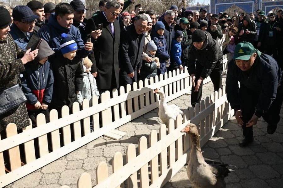 Второй фестиваль гусеводства пройдёт в Петропавловске