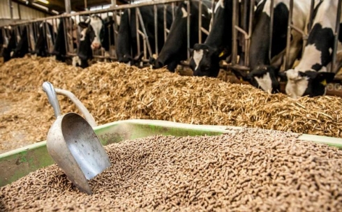 Как экструдированные корма повышают привесы в животноводстве