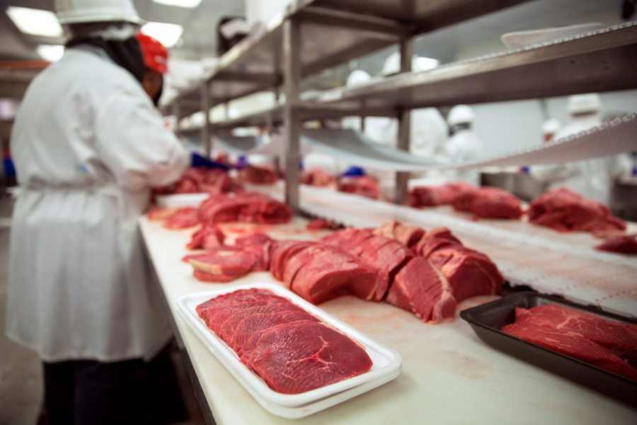 Инвесторам предложили вкладывать в переработку мяса и зерна в Казахстане 