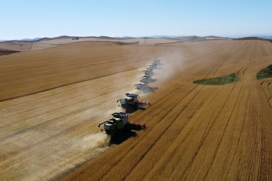 Цена на пшеницу может упасть до 100 тыс. тенге/тонна
