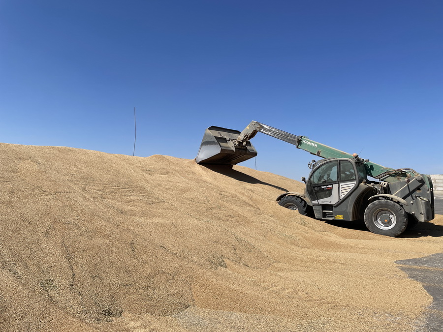 Хрупкий рынок казахстанской пшеницы
