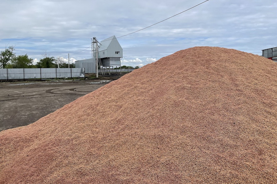 Рынок пшеницы трясет в Казахстане