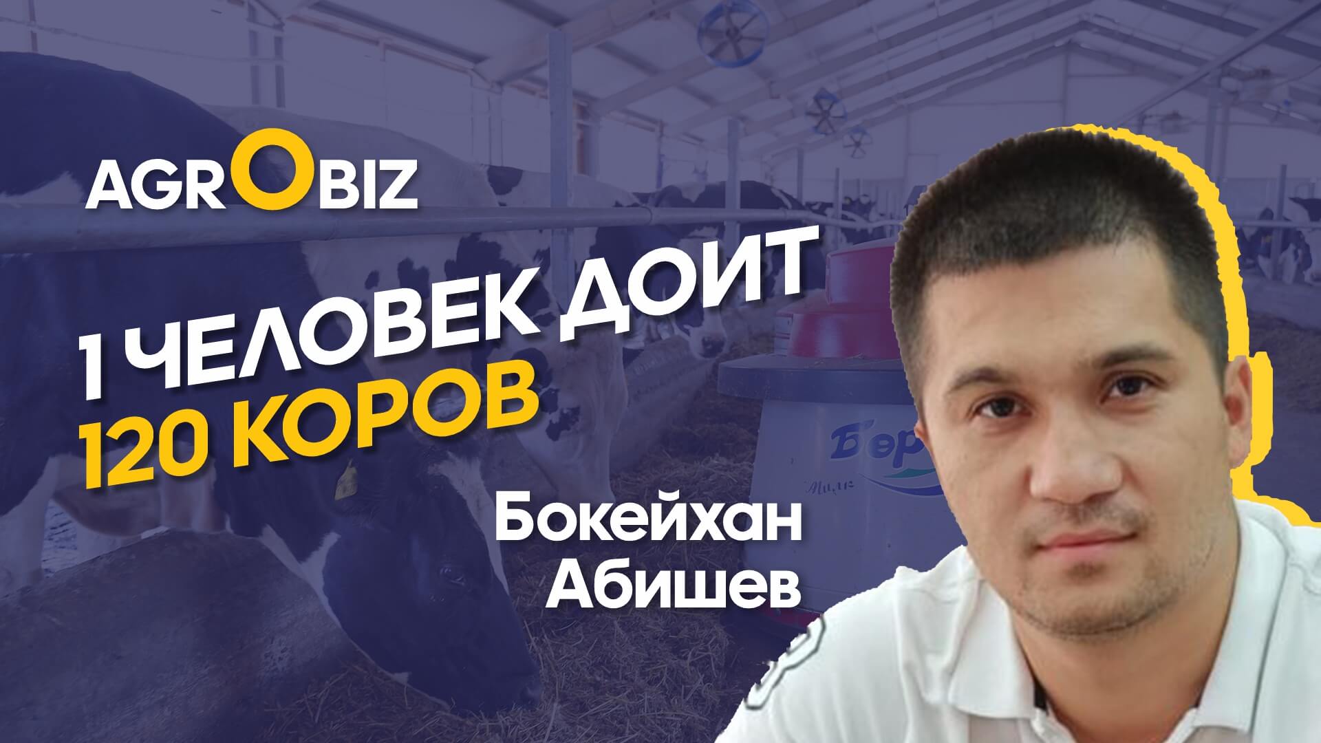 Натуральное молоко в Казахстане, доильные роботы и секрет качественных кормов