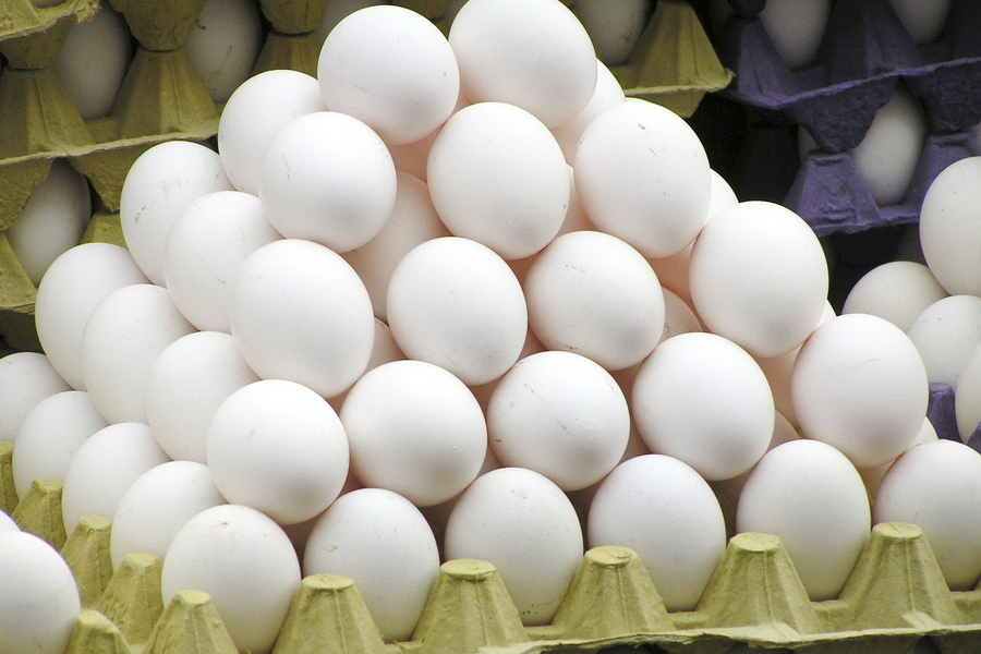 Актюбинскую птицефабрику обяжут увеличить поставку яиц в регион 