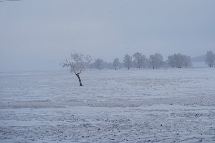 Снег и метель ожидаются в начале недели в Казахстане