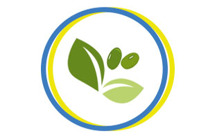 Казахстан — Украина. Технологии выращивания зерновых, бобовых и масличных в условиях изменения климата. Особенности трейдинга