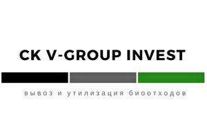 СК V-Group Invest