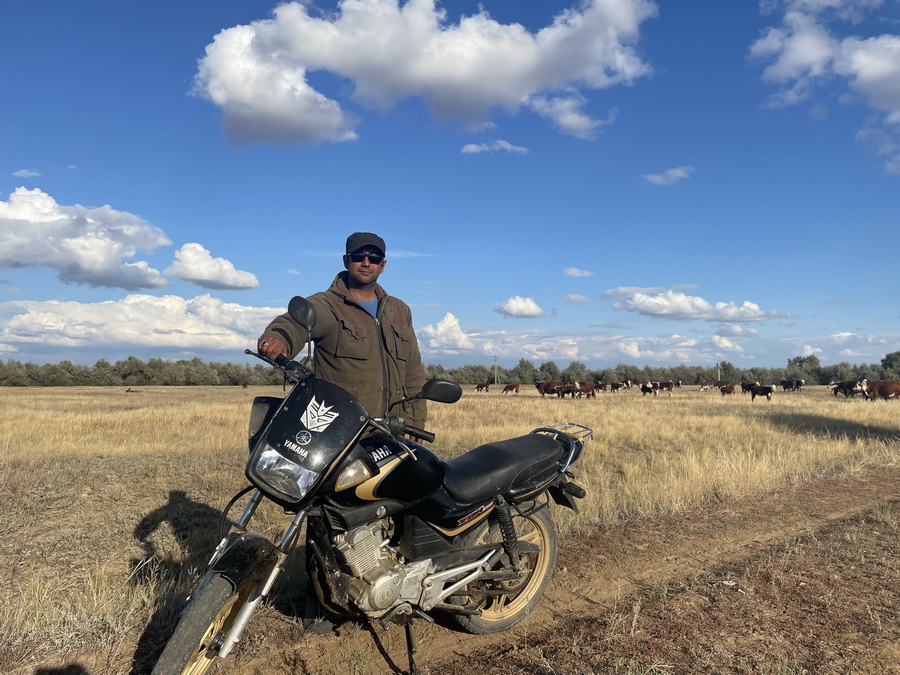 Сколько должна стоить говядина в Казахстане? 