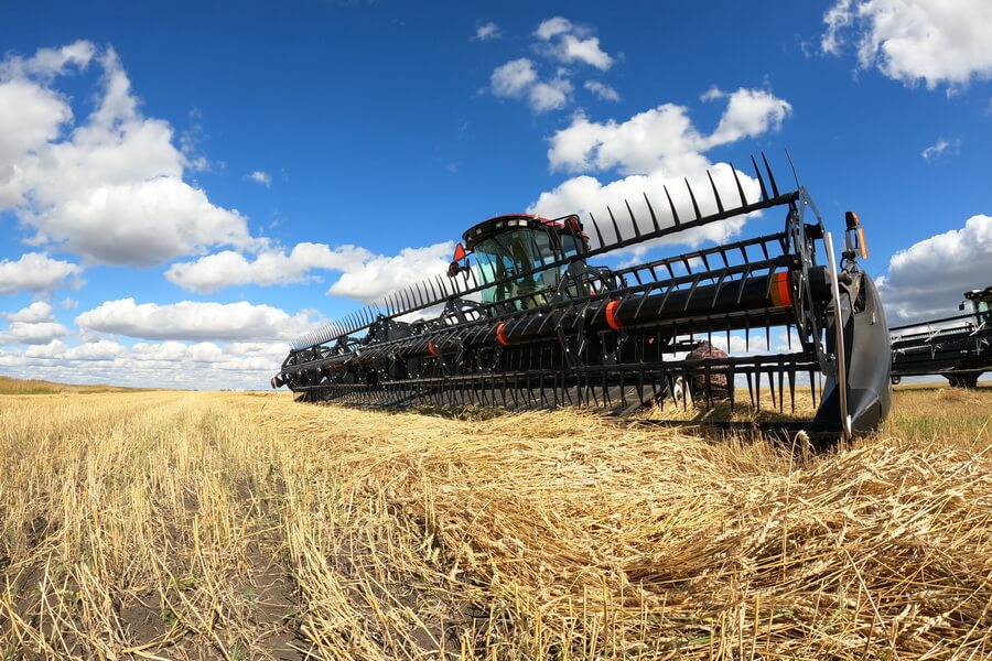 В Казахстане собрано 6,9 млн тонн пшеницы 