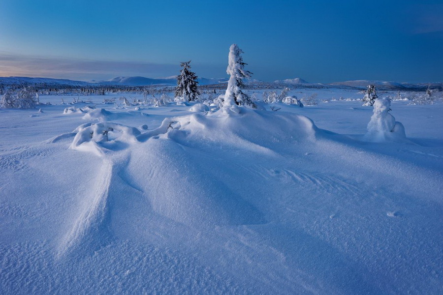 Февраль добавил снега на поля Казахстана