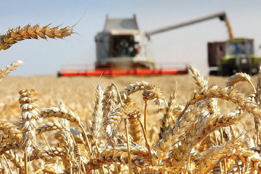 В Казахстане убрано 94% зерновых, намолочено 18,2 млн тонн зерна