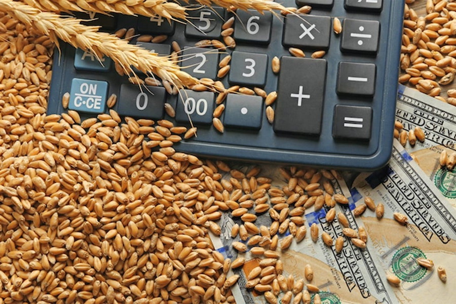 Снижения цен на пшеницу и лён ждут в Казахстане