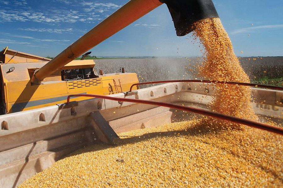 Казахстан в октябре экспортировал более 860 тыс. тонн зерна и муки