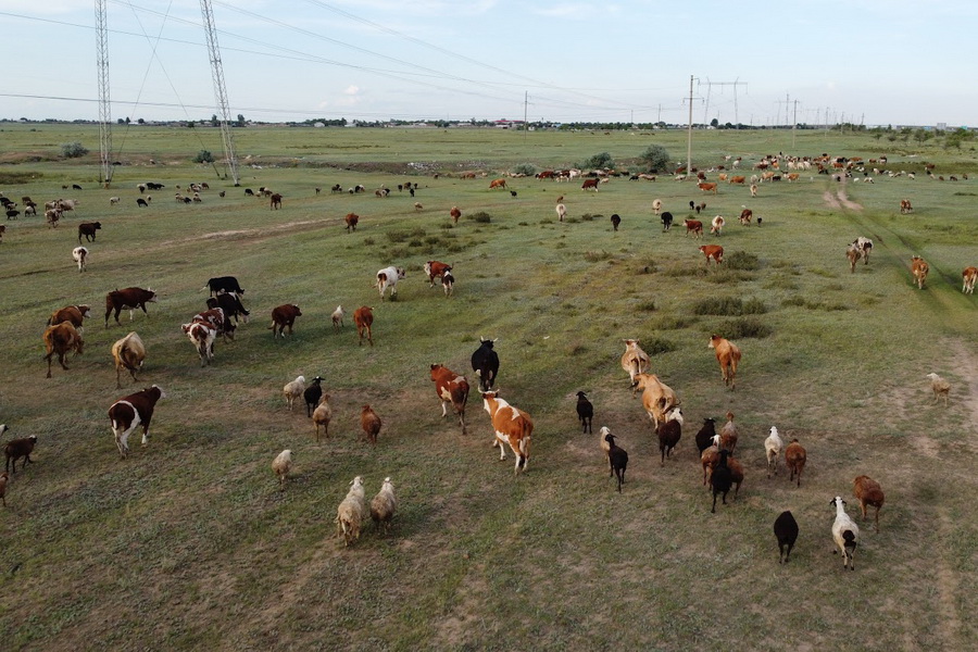 В Казахстане открыта горячая линия по земельным вопросам