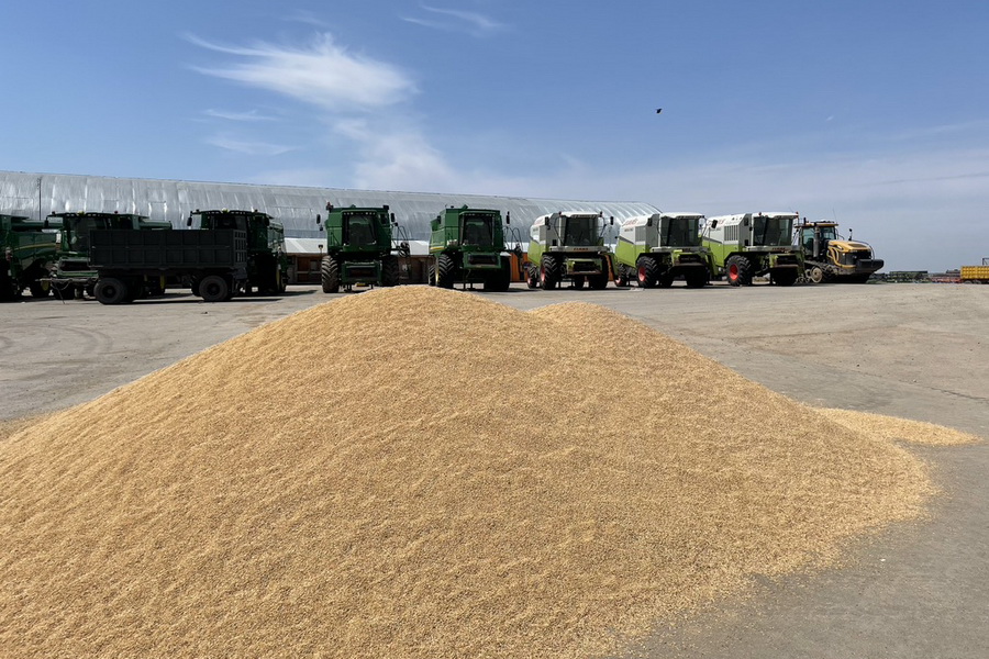 20 тыс. тонн семян планируют ввезти из-за рубежа в Казахстан к посевной
