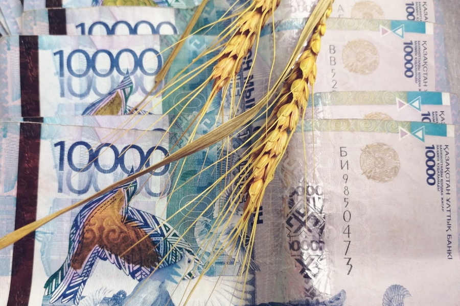 Инфляция в Казахстане за месяц составила 1,3%