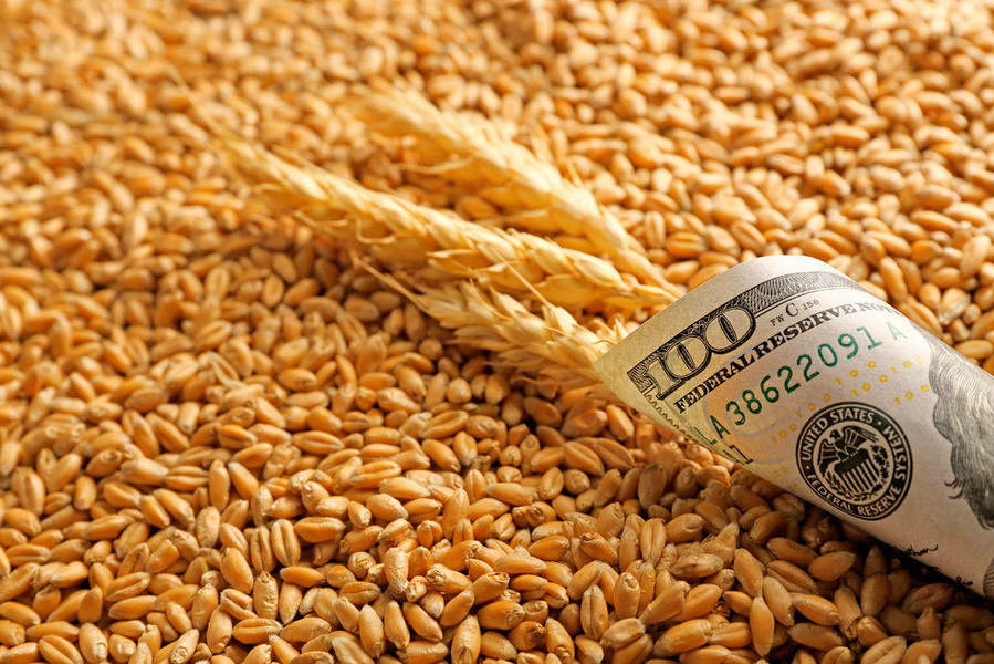 В ЕАЭС планируют создать международную систему торговли зерном 