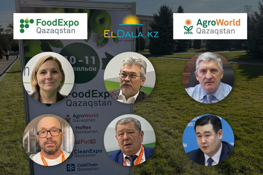 FoodExpo/AgroWorld 2022 көрмелерінің үздік дәйексөздері 