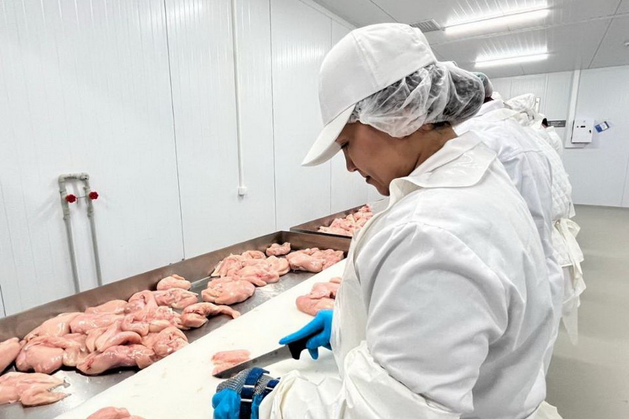 Производство полуфабрикатов из мяса птицы запустили в Косшы