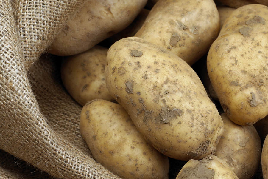 МТИ прогнозирует снижение цены на картофель осенью