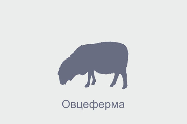 Откормочная площадка Ыкыбай