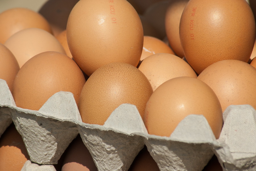 Яйца вновь вырастут в цене