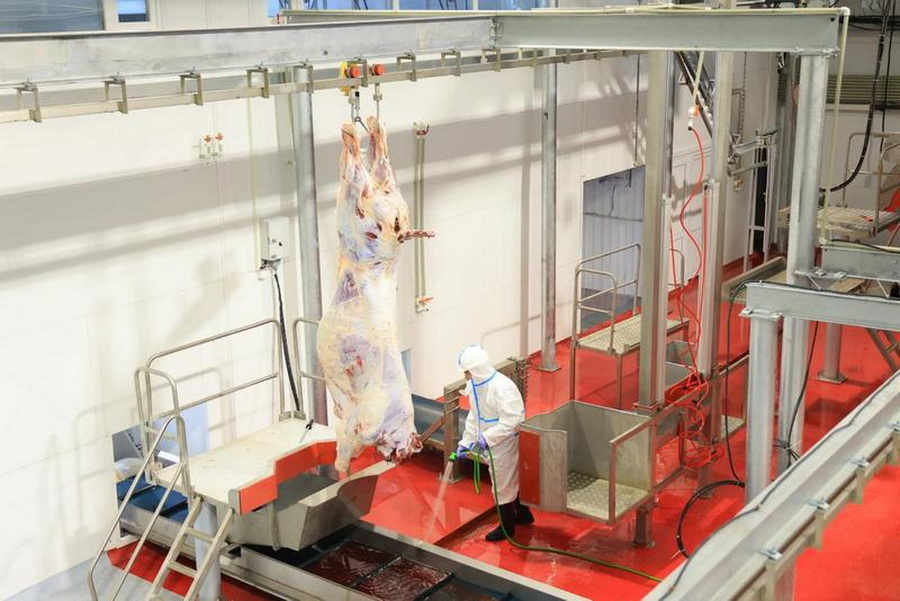 Мясокомбинат стоимостью 800 млн тенге запустили в Карагандинской области