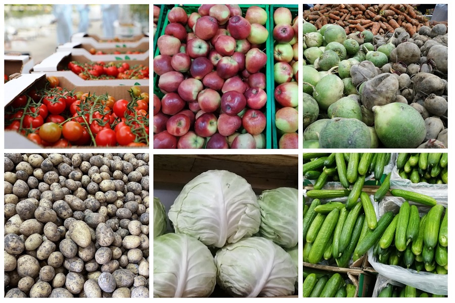 Минторговли проверит цены форвардного закупа овощей в регионах