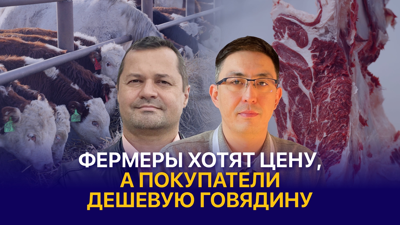 Как экспорт влияет на стоимость говядины в Казахстане? — Жанибек Кенжебаев