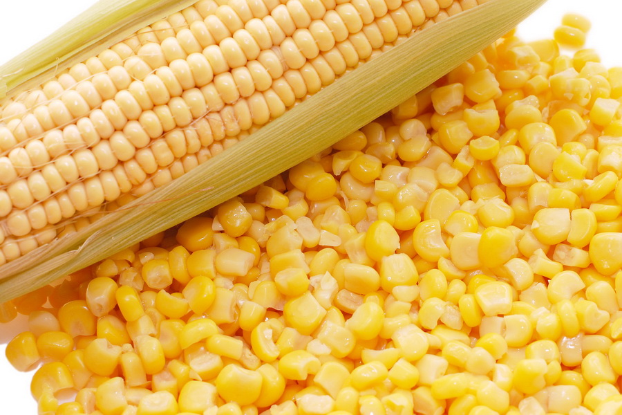 Продкорпорация начала прямой закуп зерна кукурузы