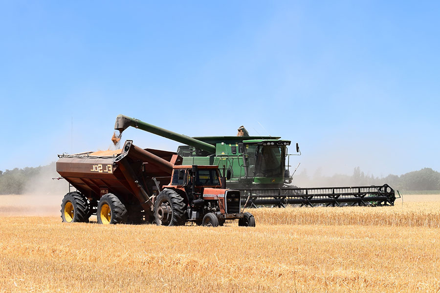Казахстан получил самый низкий урожай зерна за последние годы