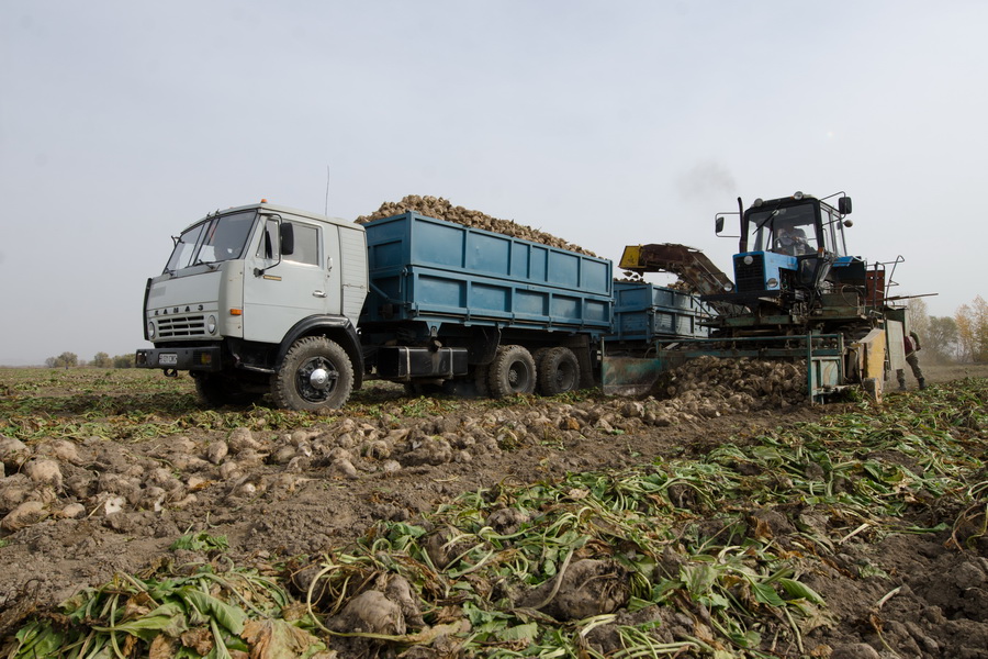 12 дождевалок приобрело хозяйство для выращивания сахарной свеклы в Жетысу