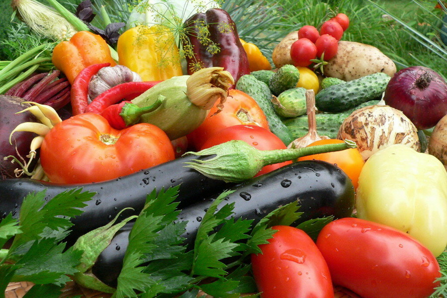 Казахстан за 5 лет увеличил экспорт овощей в ЕАЭС в 4 раза