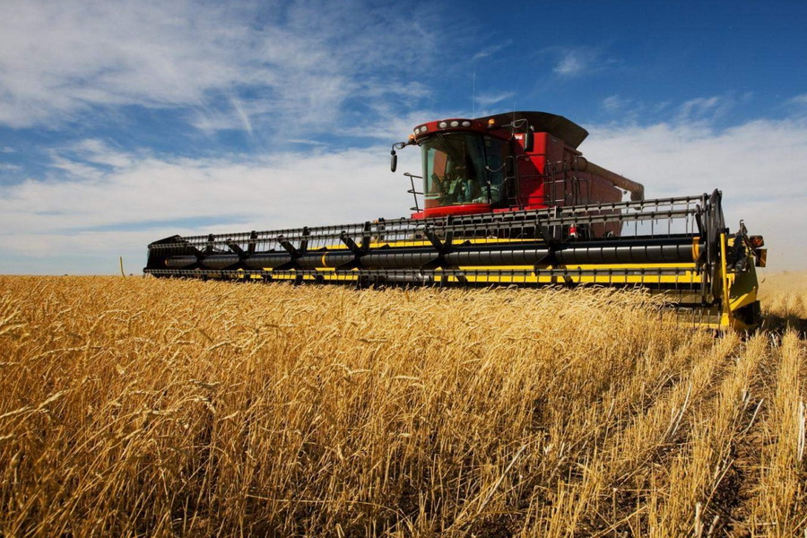 В Казахстане намолочено 1,5 млн тонн зерна