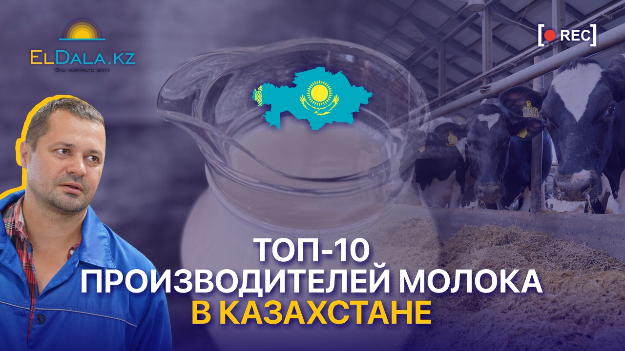 ТОП-10 лидеров молочной отрасли Казахстана в 2023 году