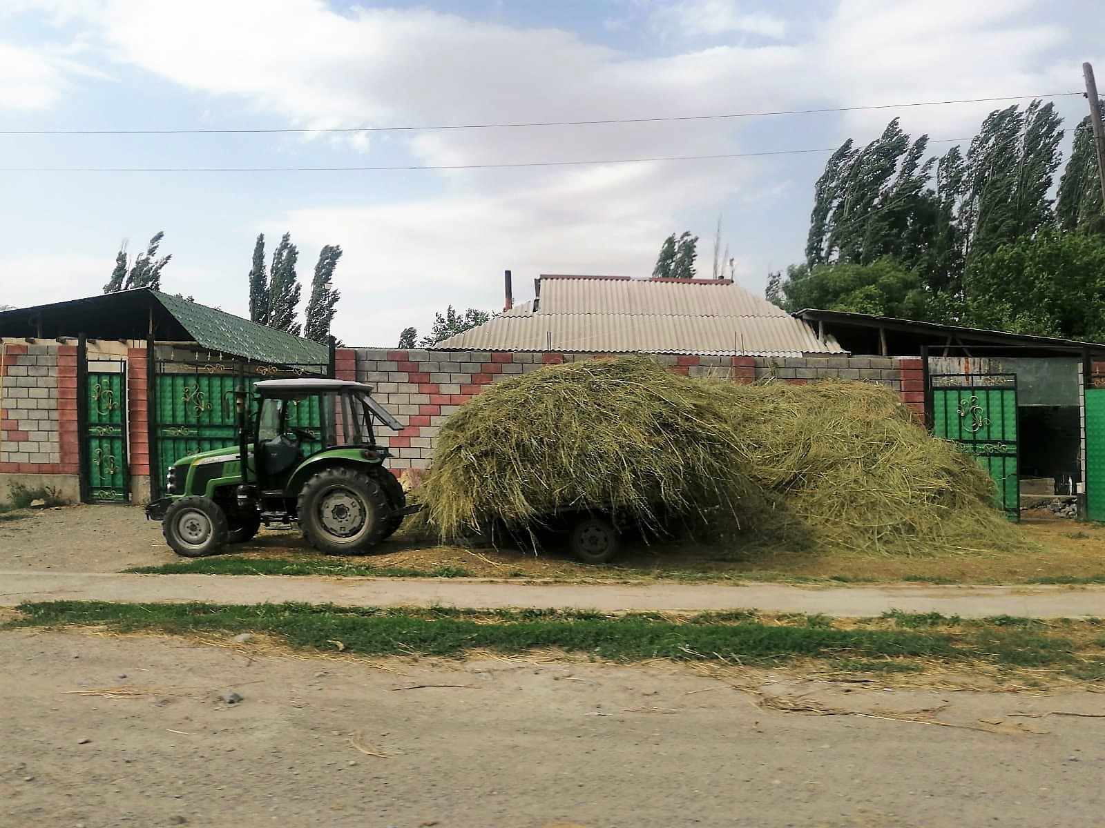 В Актюбинской области создано 28 сельхозкооперативов 