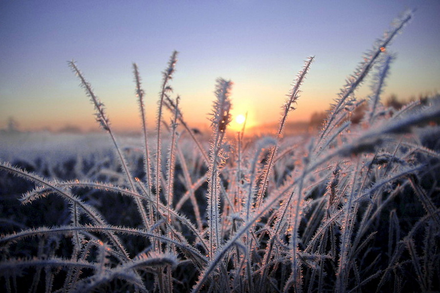 Ночные заморозки ожидаются на большей части Казахстана