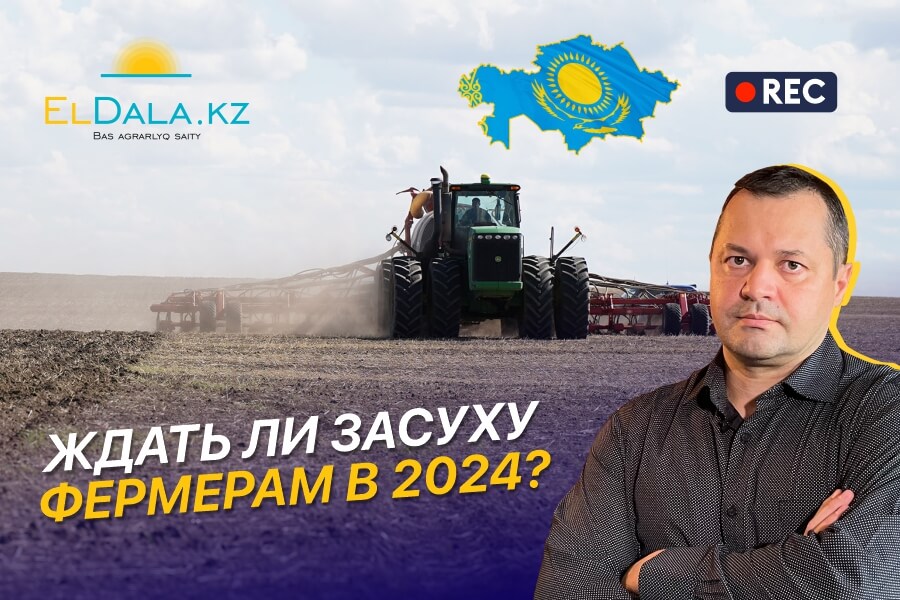 Казахстан получит хороший урожай в 2024? Запасы влаги и прогнозы синоптиков
