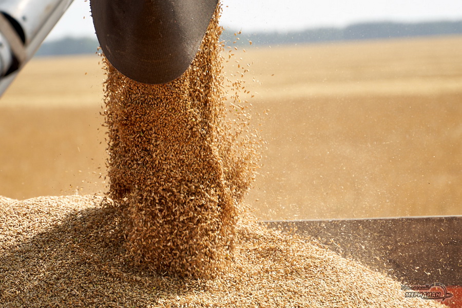 Грузия рассматривает Казахстан в качестве альтернативного поставщика пшеницы