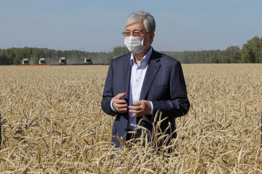 Токаев объявил итоги жатвы: Казахстан сохранил статус зерновой державы