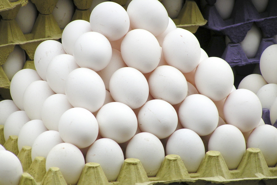 Производство яиц в Казахстане снизилось на 7,4% 