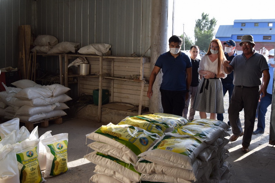 Фермеры будут напрямую поставлять продукцию в торговые сети Алматы