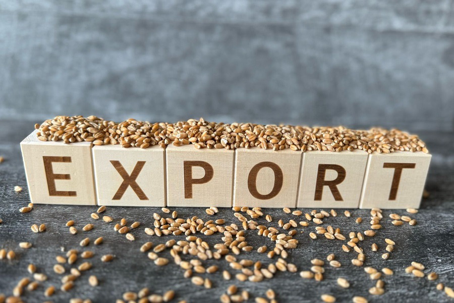 Казахстан предложил Китаю активизировать расширение экспорта