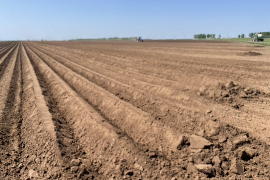 В Казахстане изъяли более 600 тыс. га сельхозземель