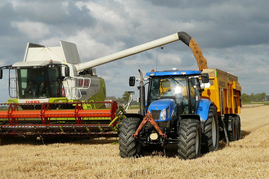 Оценка урожая пшеницы в Казахстане снижена на 500 тыс. тонн