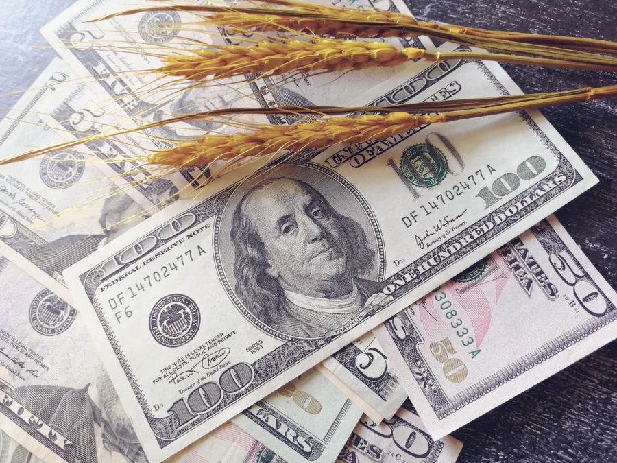 Цена тонны пшеницы упала за $33 за 10 дней