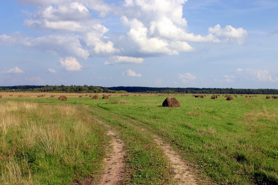В Акмолинской области выявили более 1,5 млн га неиспользуемых земель