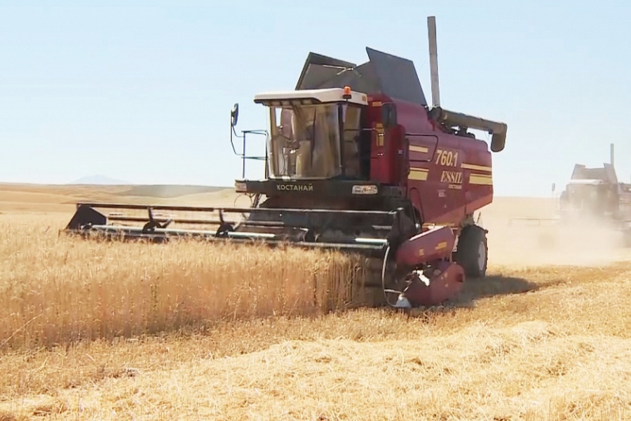 Уборка зерновых началась в двух регионах Казахстана